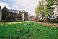 ams73-ams2003p116F1000027