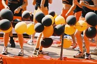 ams2004p133F1000035