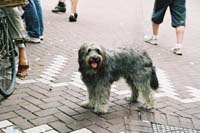 ams2004p153F1010030
