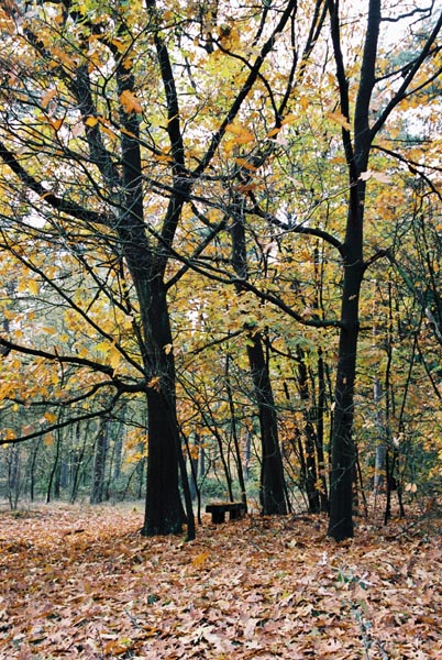 autumn2003p107F1000027