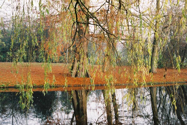 autumn2003p127F1030012