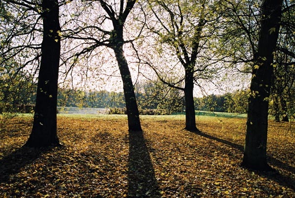 autumn2003p153F1010002