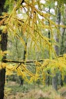 autumn2003p112F1000033