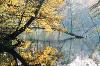 autumn2003p121F1010015