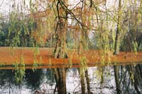 autumn2003p127F1030012