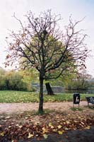 autumn2003p133F1000007