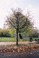 autumn2003p134F1000008