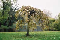 autumn2003p145F1000006
