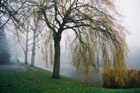 autumn2003p146F1030026