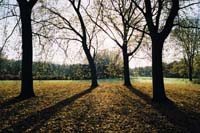 autumn2003p151F1010001