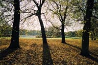 autumn2003p153F1010002