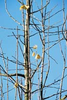 autumn2003p157F1010032