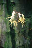 autumn2003p158F1030011