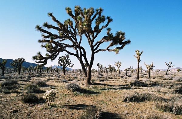 nat18-jtnp110F1010036_