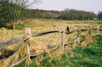nl03-schier109F1010018_