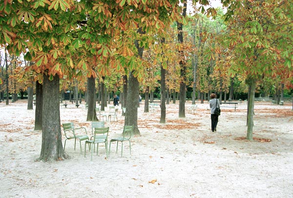 trv06-paris007luxemburghgardenautumn1print_