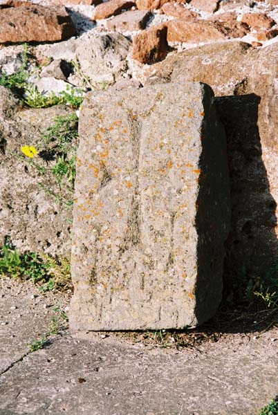am2004garni115F1080031_