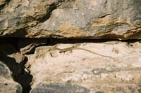 am2004garni116F1080033_