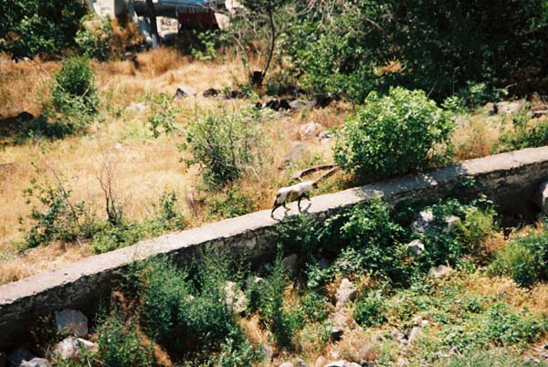 am2004erevan110razdanF1060017