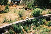 am2004erevan110razdanF1060017
