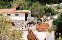athos306annisskitF1070009