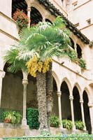 barcelona130F1000014