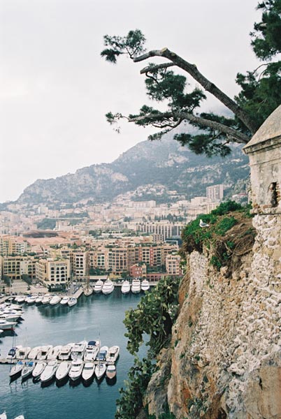 fr110montecarloF1040036