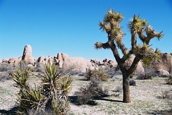 jtnp104F1000018_