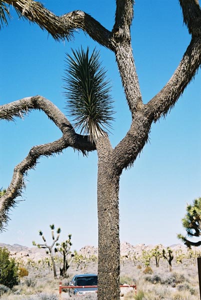 jtnp106F1010011_