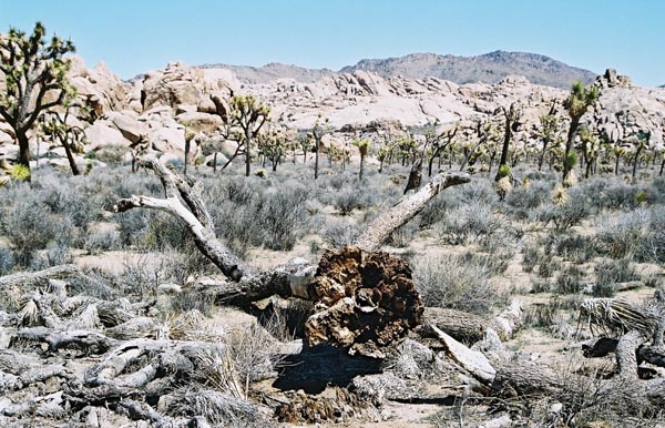 jtnp108F1010035_