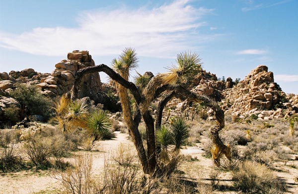 jtnp109F1010018_