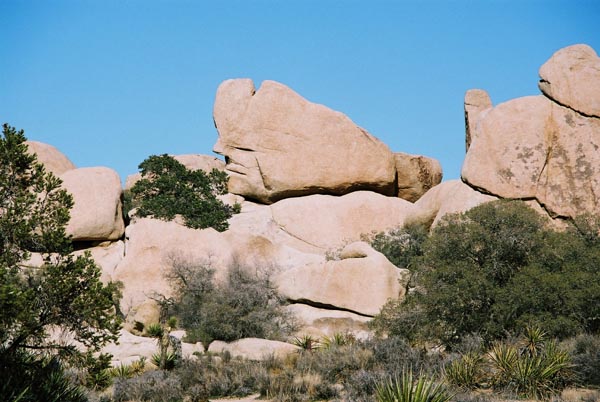 jtnp112F1010025_