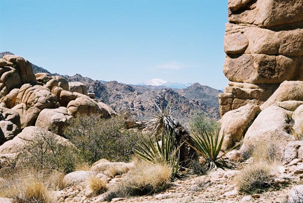 jtnp113F1010012_