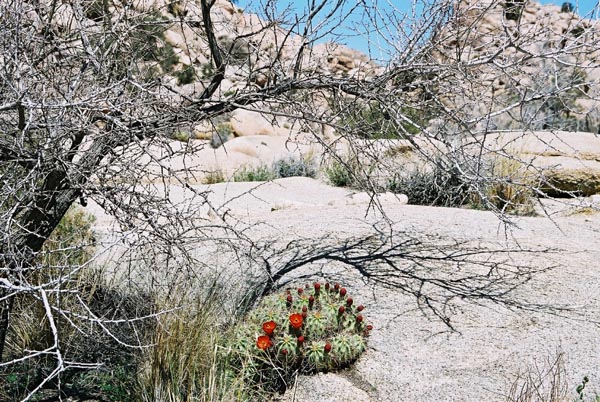 jtnp121F1010022_