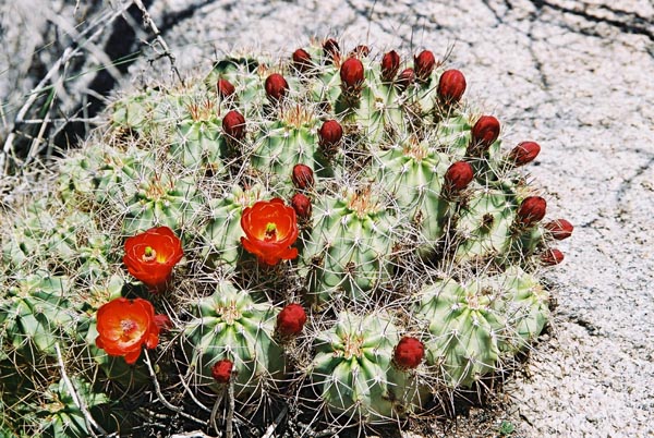 jtnp122F1010021_
