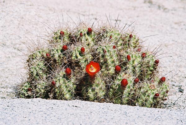 jtnp123F1010024_