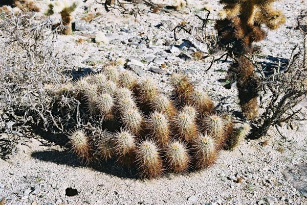 jtnp127F1000013_