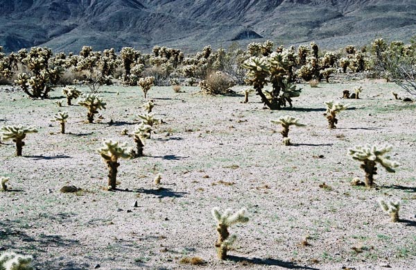 jtnp129F1000016_