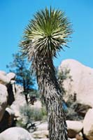 jtnp107F1010033_