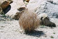 jtnp117F1010025_