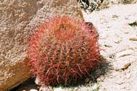 jtnp118F1010011_