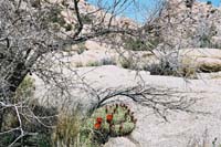 jtnp121F1010022_