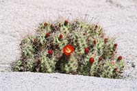 jtnp123F1010024_