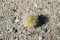 jtnp126F1000008_