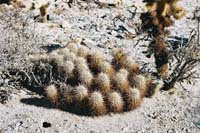 jtnp127F1000013_