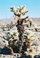 jtnp128F1000005_
