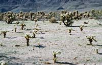 jtnp129F1000016_