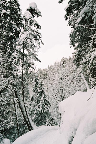 winter2004gerlos104F1020005_