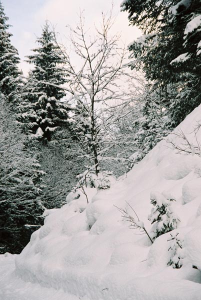 winter2004gerlos108F1000024_