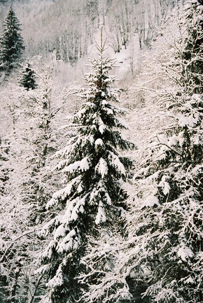 winter2004gerlos109F1000027_